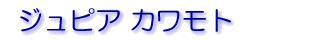 �W���s�A�J�����g